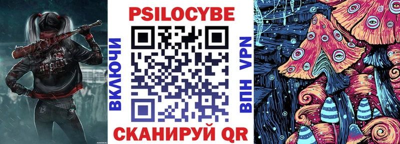 Купить  Лакинск  Псилоцибиновые грибы мицелий 